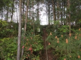 福建汀江源國家級自然保護區管理局維保服務(wù)順利完成