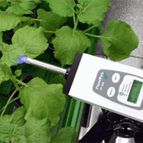 Monitoring Pen植物葉綠素熒光測量?jì)x