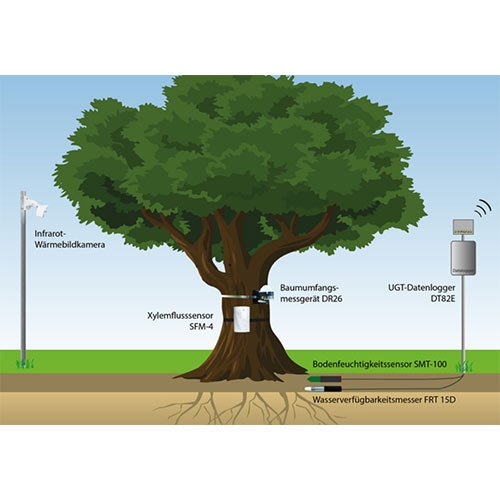 Talking Tree樹(shù)木監測系統